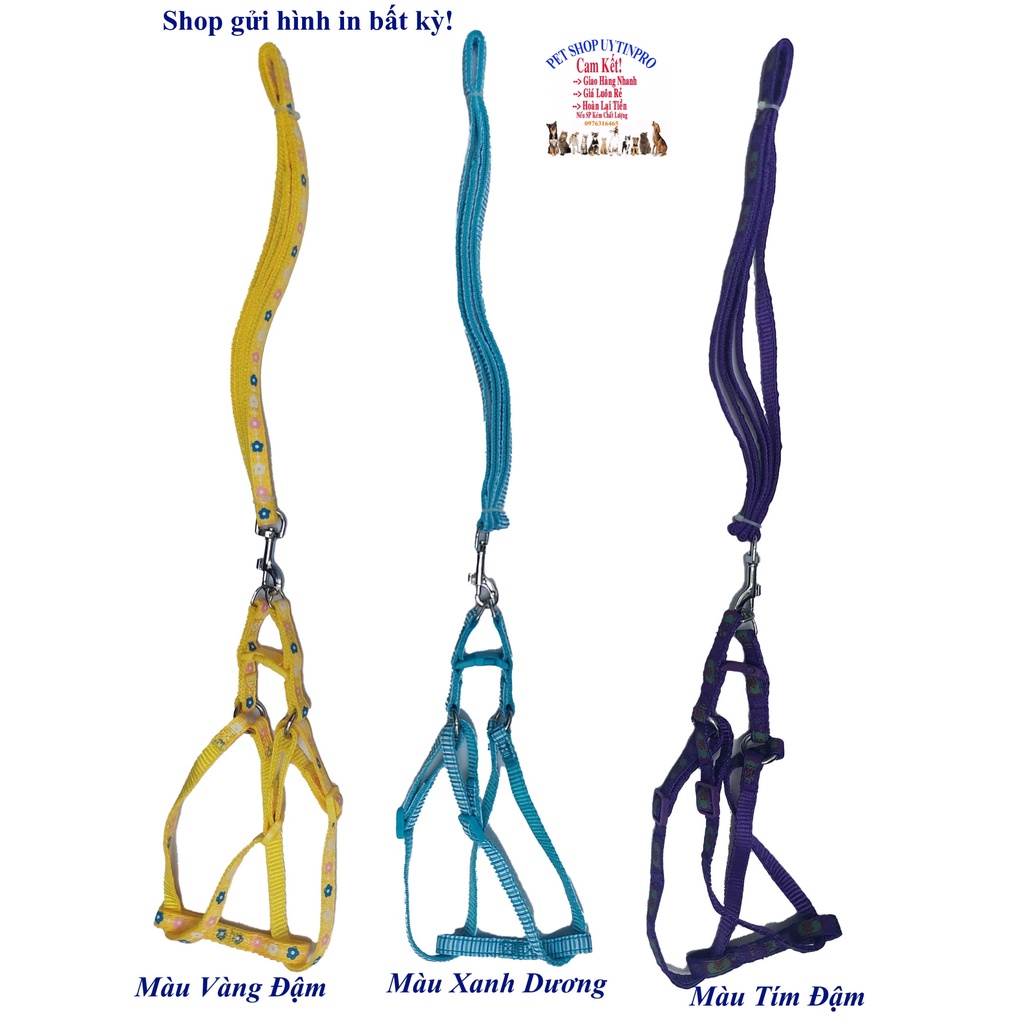 Dây dắt kèm yếm cho Chó Mèo Dưới 5kg Bản rộng 1cm Dài 120cm Zichen In hình bất kỳ Chất liệu dù cao cấp Bền Chắc, An toàn