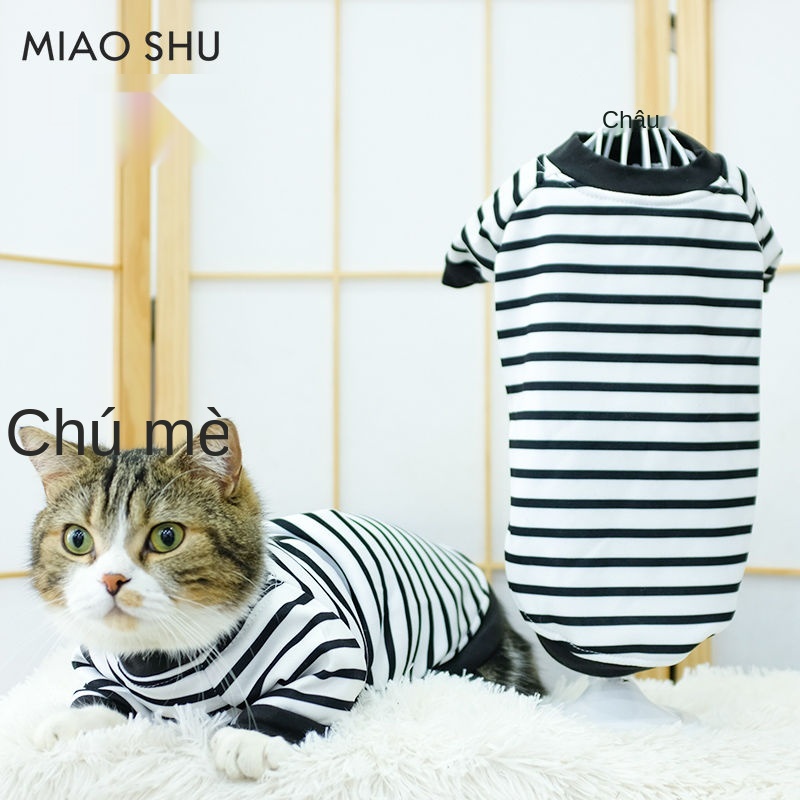 Áo vest bảnh bao quần mỏng mùa xuân và hè cho chó con Teddy Bichon Pomeranian thú cưng nhỏ mèo