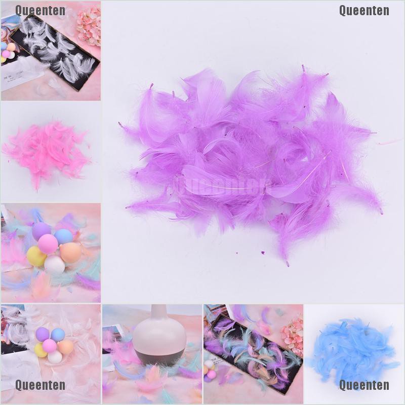 Bộ 100 Lông Vũ Nhiều Màu Sắc Dùng Làm Quà Tặng