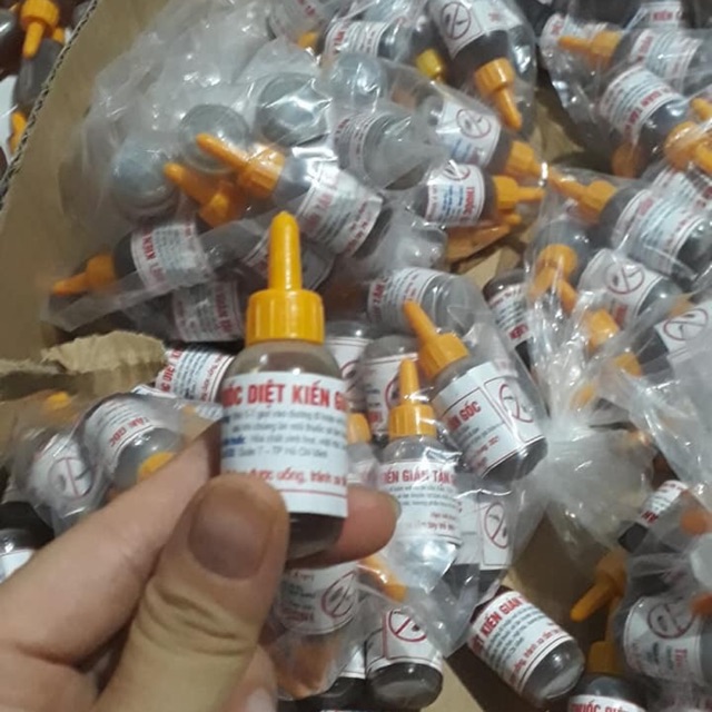 Combo 800 lọ thuốc diệt kiến gián