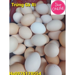 Trứng Gà Ri ( 10 Quả )