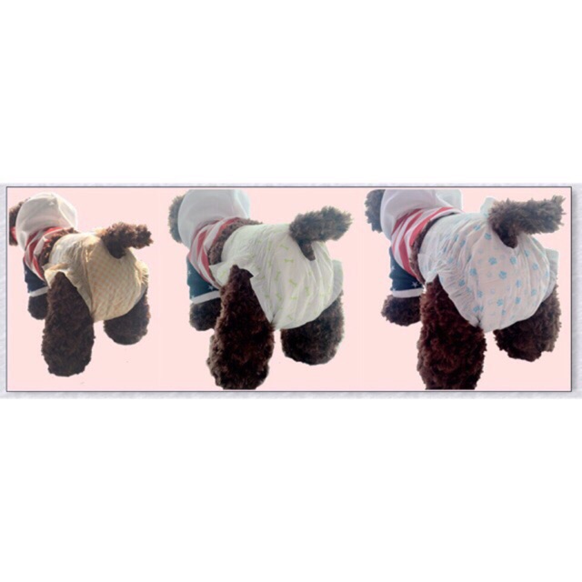 Pet Soft - Bỉm cho thú cưng ( giá lẻ 1 chiếc )