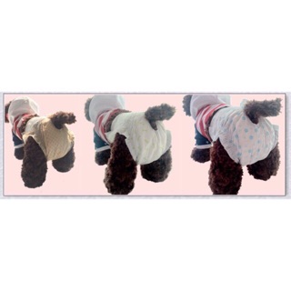 Pet Soft - Bỉm cho thú cưng ( giá lẻ 1 chiếc )