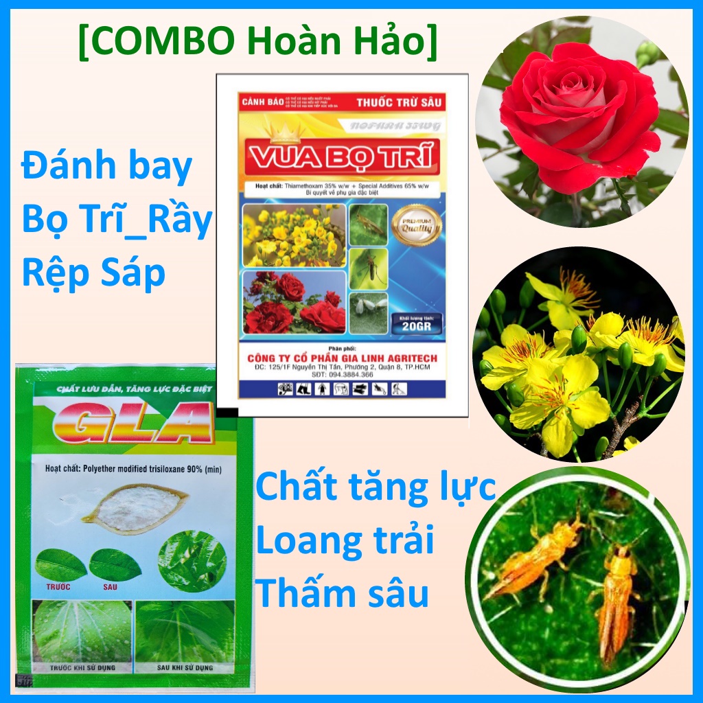 Vua bọ trĩ kết hợp chất tăng lực bám dính, bảo vệ cây trồng trước rầy, rệp chích hút