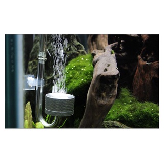 Cốc sủi CO2 bằng nhôm cho hồ thủy sinh