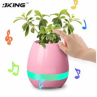 Loa bluetooth kiêm chậu trồng cây