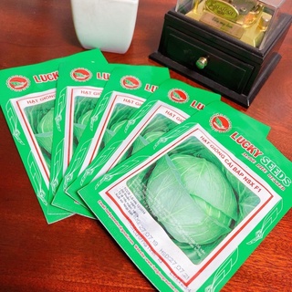 hạt giống cải bắp lucky 1g