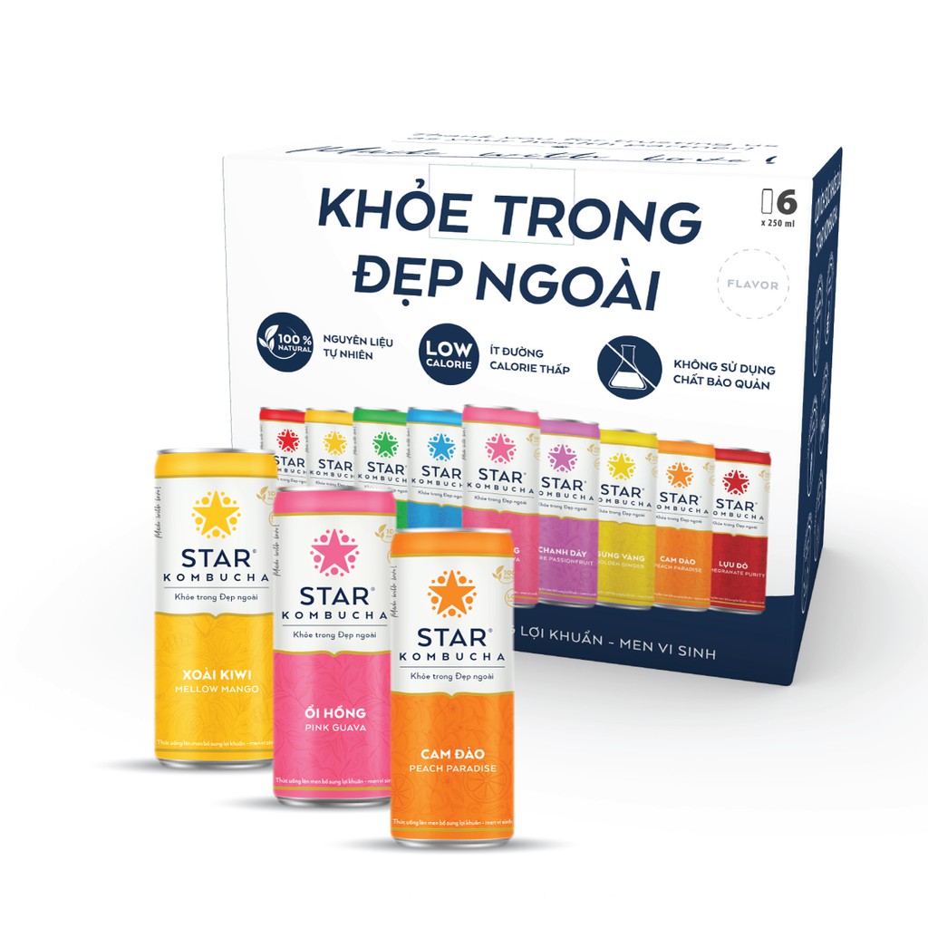 Lốc 6 lon trà STAR KOMBUCHA mix vị (250ml/lon) - Trà lên men vi sinh chứa probiotics bảo vệ sức khoẻ, thanh lọc cơ thể