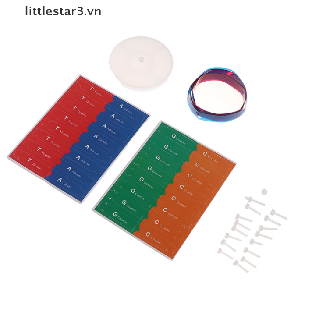 Mô Hình Khoa Học Dna Genetic