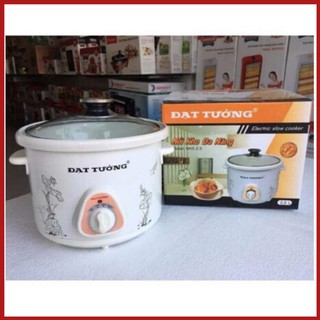 Nồi kho cá - nồi nấu cháo chậm đa năng Đạt Tường 1.5l và 2.5l