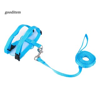 Dây dắt chó hình đôi cánh thiên thần dễ thương