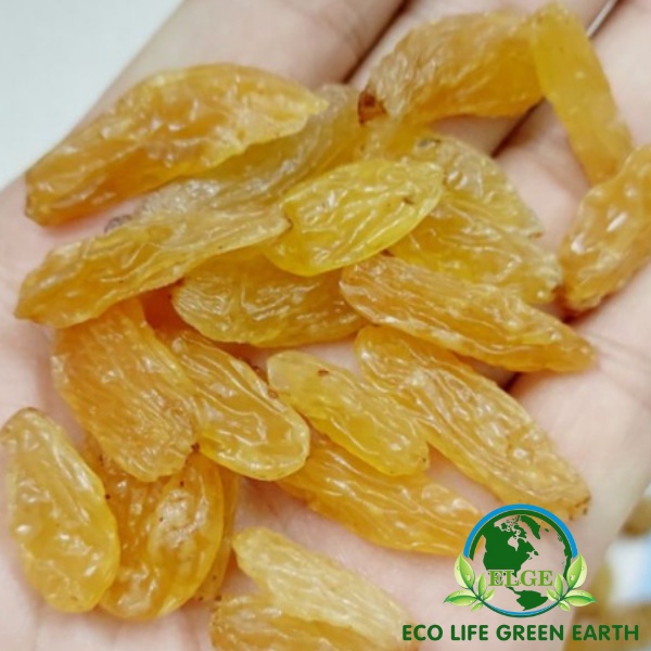 500gr Nho khô vàng không hạt Ấn Độ loại lớn vị ngọt chua nhẹ thơm ngon ☘ Túi zip 500gr