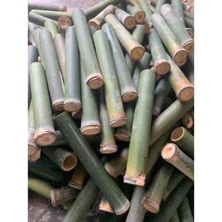 Ống nứa nấu cơm lam dài 24cm