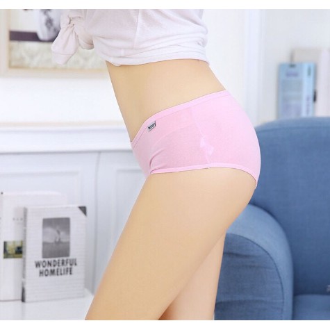 Quần lót cotton Pulo xuất Mỹ | BigBuy360 - bigbuy360.vn