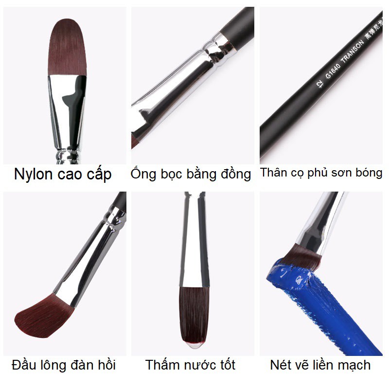 Cọ Đầu Vát Transon Cán Dài Cao Cấp Oval Filbert Brush Vẽ Màu Nước Và Sơn Dầu G1630