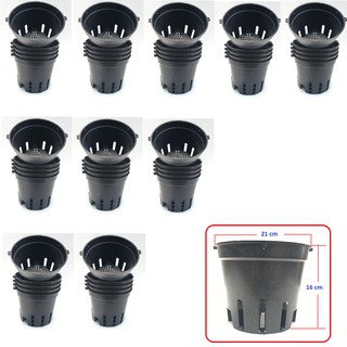 Set 50 chậu nhựa trồng lan số 5 đường kính 21cm cao 16cm