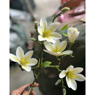 Cành Mộc lan- hoa giả hàng nhập