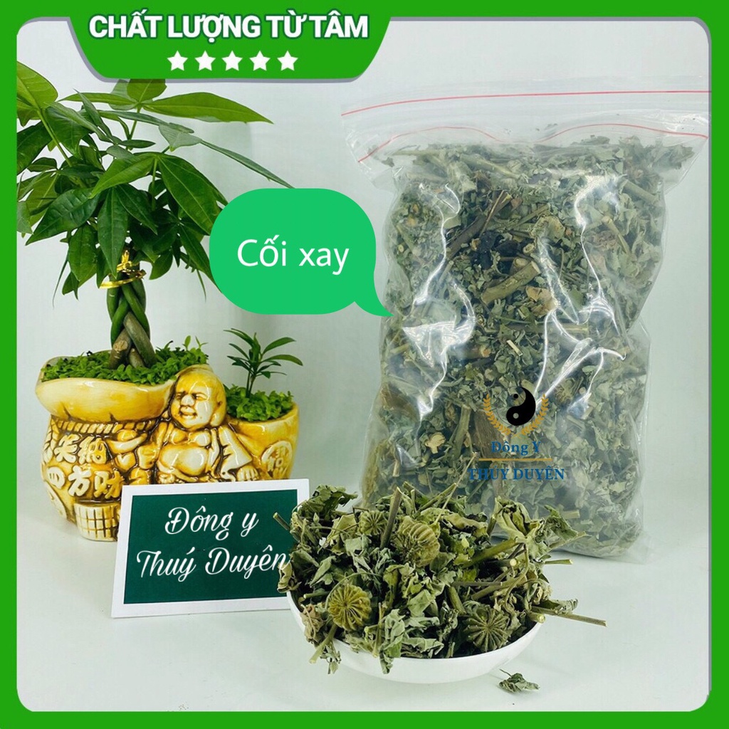 Cây Cối Xay 1kg (Hàng chất lượng loại 1)