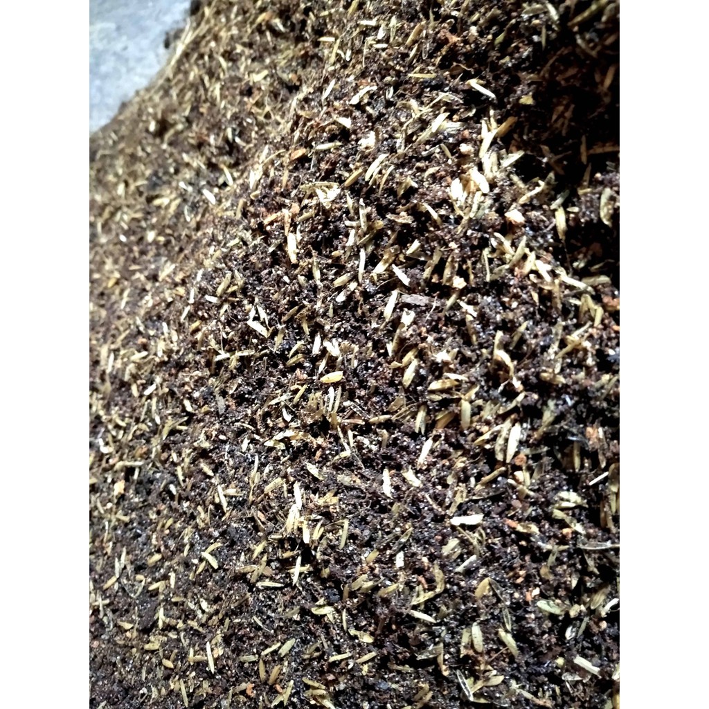 Đất trồng mai giá thể trồng mai 2kg