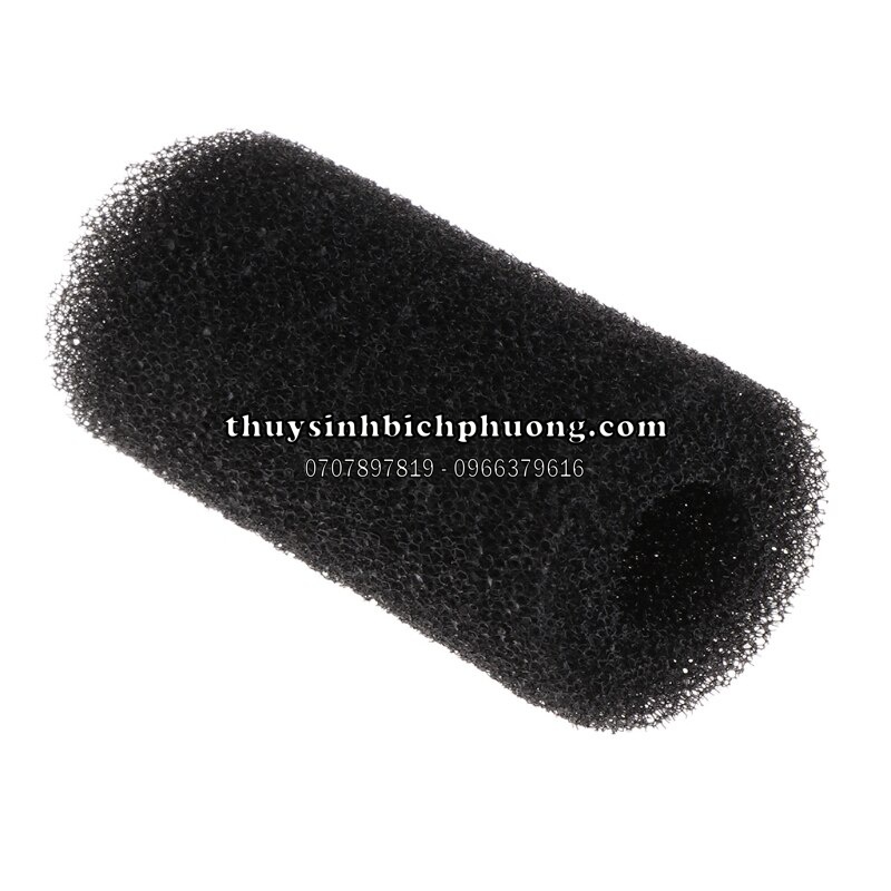 🍃BỊT TÉP MÚT - BỊT TÉP 🍃