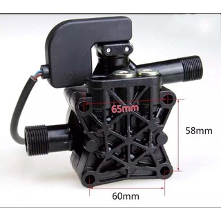 Bộ Đầu Bơm Máy Rửa xe mini (có kèm rơ le điện)