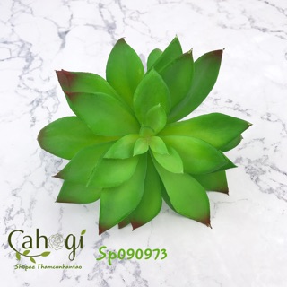 Cây giả - sen đá cỡ lớn hoa to sp090973