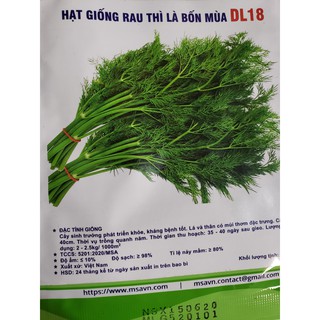 Hạt giống rau thì là bốn mùa (10gr)