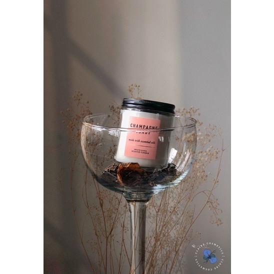 Nến Thơm Bath and Bodyworks mùi Champagne Toast