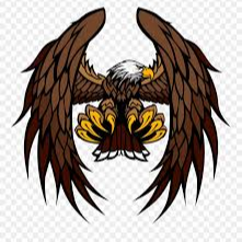 bapaopalsn.vn, Cửa hàng trực tuyến | BigBuy360 - bigbuy360.vn