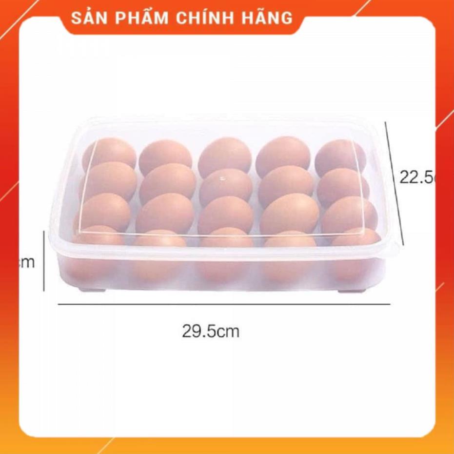 Khay Đựng Trứng 24 Ô Nhựa Việt Nhật An Toàn