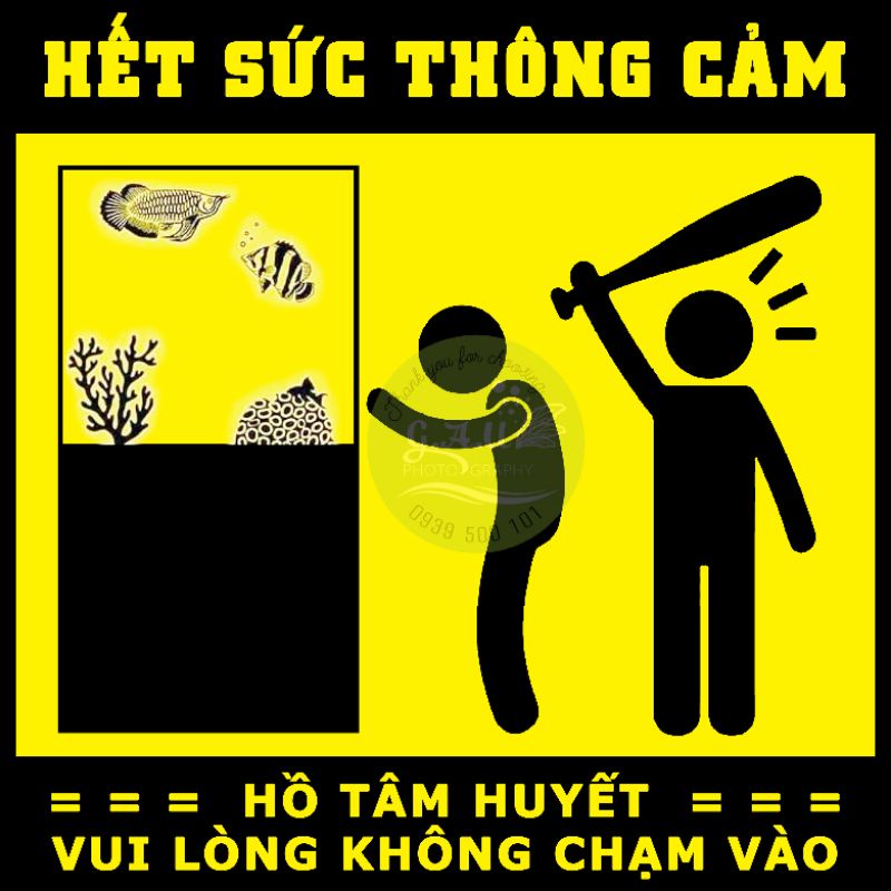 Sticker thế hệ mới - cắt laser - có sẵn keo