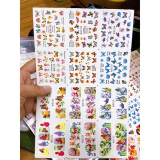 Sticker nước tấm lớn mẫu mới