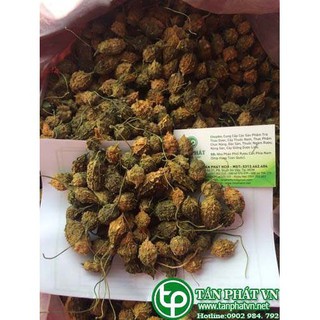 1kg khổ qua rừng nguyên trái - loại có gai