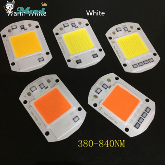 220V LED Floodlight 20W/30W/50W White/Warm Driver Smart Integrated Light Chip COB IC