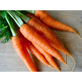 100 hạt giống cà rốt dài chịu nhiệt F1