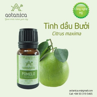 Tinh dầu Bưởi Aotanica khỏe tóc, dưỡng da, thơm phòng