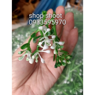 cỏ ký -  điểm hạt 3 nhánh( 100 gram)