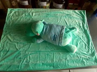 Bộ gối mền 2in1