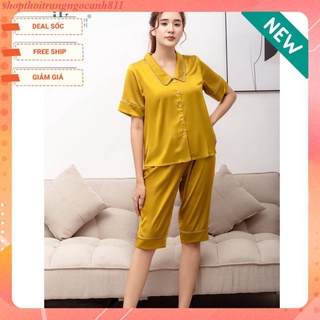 Bộ cộc tay quần ngố lụa ik 0374