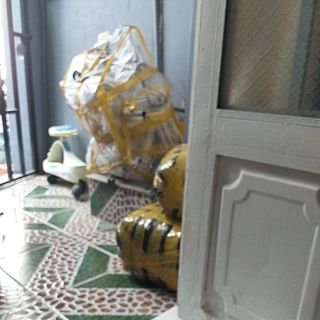 Nang si nguyên trinh