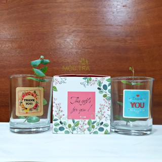 CỐC THỦY TINH LÀM NẾN VÀ HỘP QUÀ