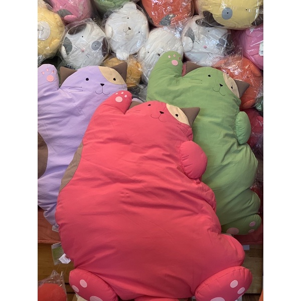 Mèo Bồng Bềnh Hikosen Cara