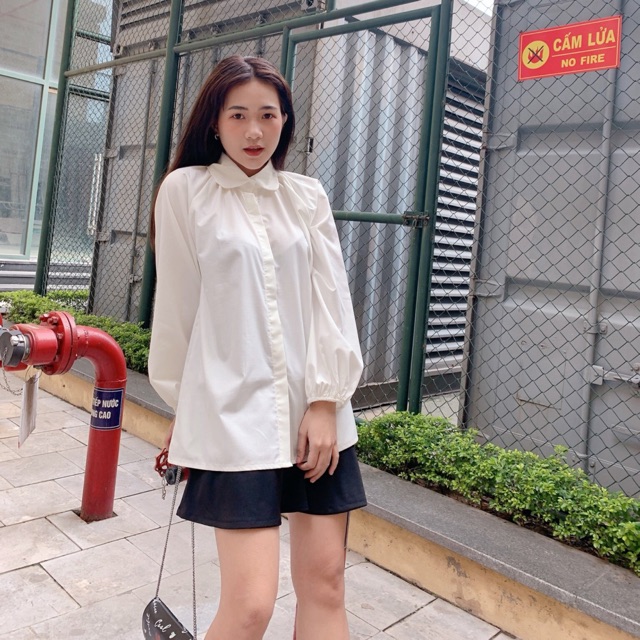 Áo sơmi cổ bèo