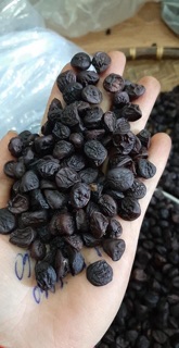 100g Hạt dổi nếp Tây Bắc