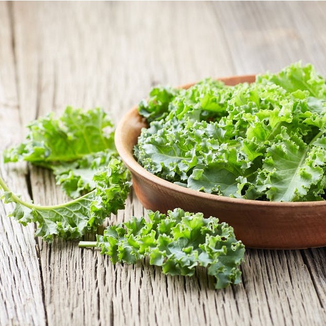 200h HẠT GIỐNG CẢI KALE NĂNG SUẤT CAO