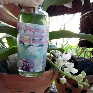 Tinh dầu tràm