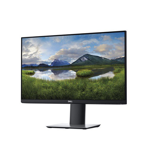 Màn Hình Máy Tính DELL P2419H 24" - Hàng Chính Hãng | BigBuy360 - bigbuy360.vn