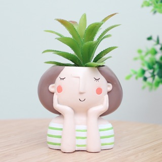 Chậu cây mini