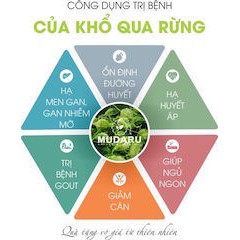 Trà Khổ Qua Rừng Mudaru- 50 túi lọc- Giải độc- Mát Gan- Trị Tiểu Đường