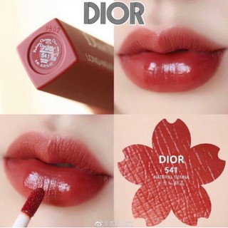 SON DIOR 541